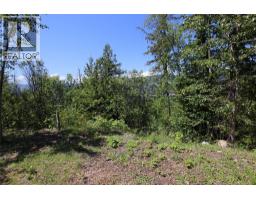 7735 Stewart Road, Fauquier, BC V0G1K0 Photo 29
