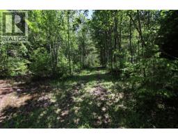 7735 Stewart Road, Fauquier, BC V0G1K0 Photo 22
