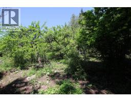 7735 Stewart Road, Fauquier, BC V0G1K0 Photo 11