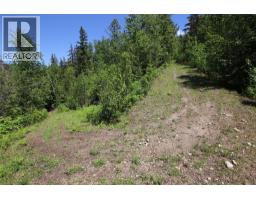 7735 Stewart Road, Fauquier, BC V0G1K0 Photo 28