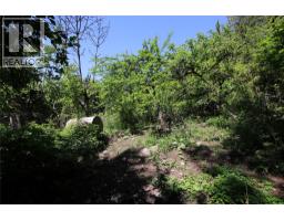 7735 Stewart Road, Fauquier, BC V0G1K0 Photo 10