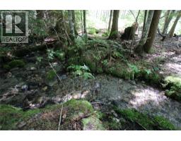 7735 Stewart Road, Fauquier, BC V0G1K0 Photo 24
