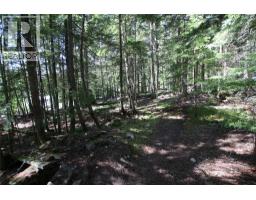 7735 Stewart Road, Fauquier, BC V0G1K0 Photo 42