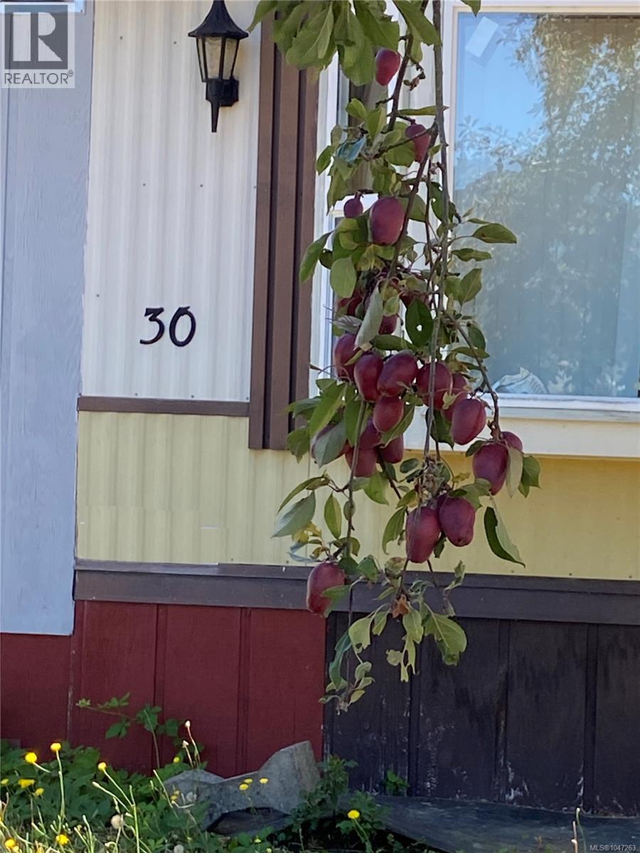 #30 971 Douglas Ave - 9