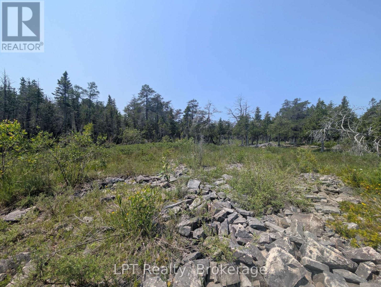 1226 Dorcas Bay Road — photo 19