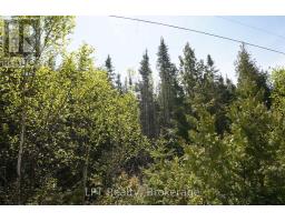 76 Myles Drive, Northern Bruce Peninsula, ON N0H1W0 Photo 10