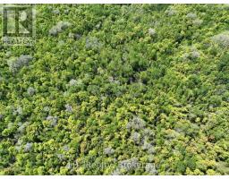 101 Log Cabin Lane, South Bruce Peninsula, ON N0H2T0 Photo 6