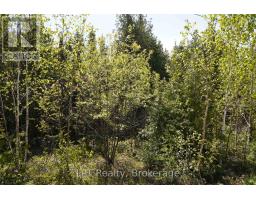 76 Myles Drive, Northern Bruce Peninsula, ON N0H1W0 Photo 14