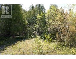 76 Myles Drive, Northern Bruce Peninsula, ON N0H1W0 Photo 9