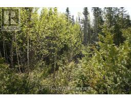 76 Myles Drive, Northern Bruce Peninsula, ON N0H1W0 Photo 13