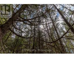 76 Myles Drive, Northern Bruce Peninsula, ON N0H1W0 Photo 11