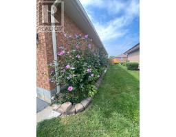 Utility room - 60 Oak Ridge Boulevard, Belleville, ON K8N5W2 Photo 6
