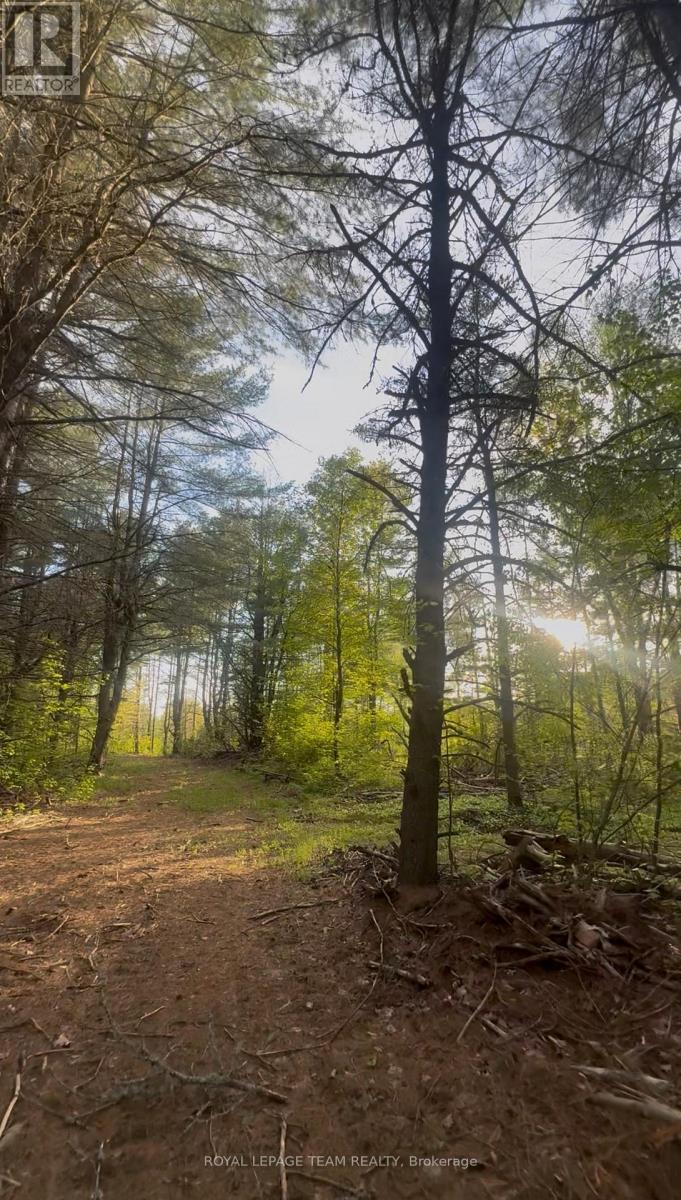 Land for Sale in Petawawa – 000 DORAN ROAD, Petawawa – MLS# X13689252 - Image 15