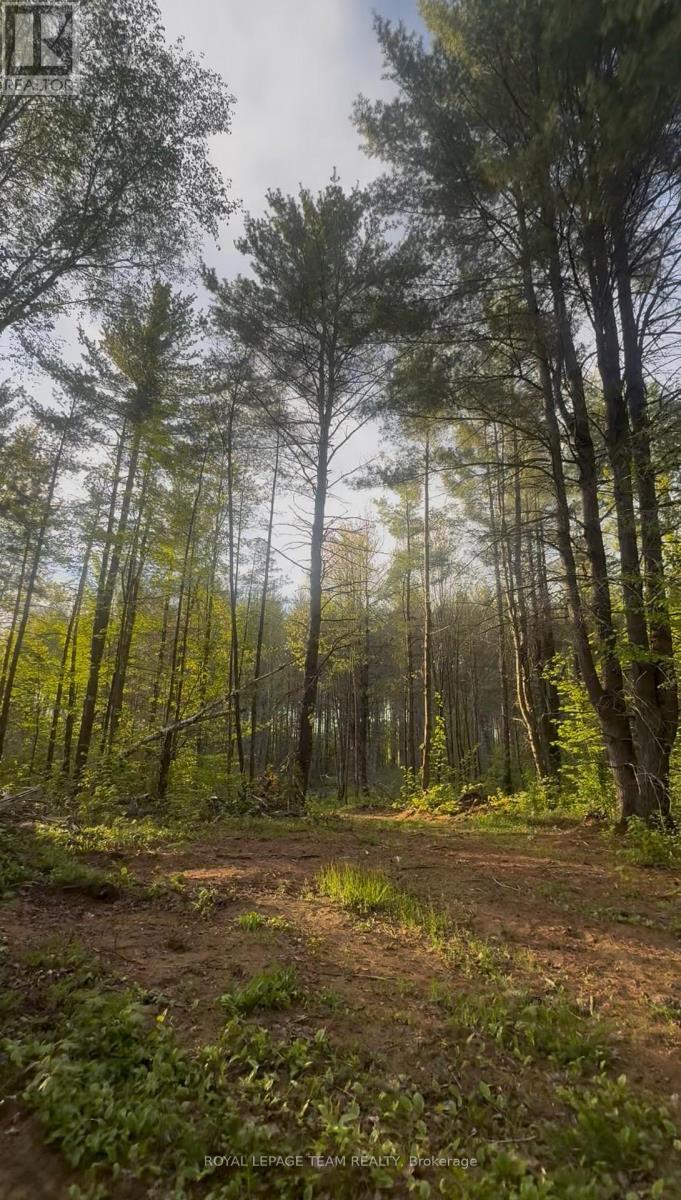 Land for Sale in Petawawa – 000 DORAN ROAD, Petawawa – MLS# X13689252 - Image 17