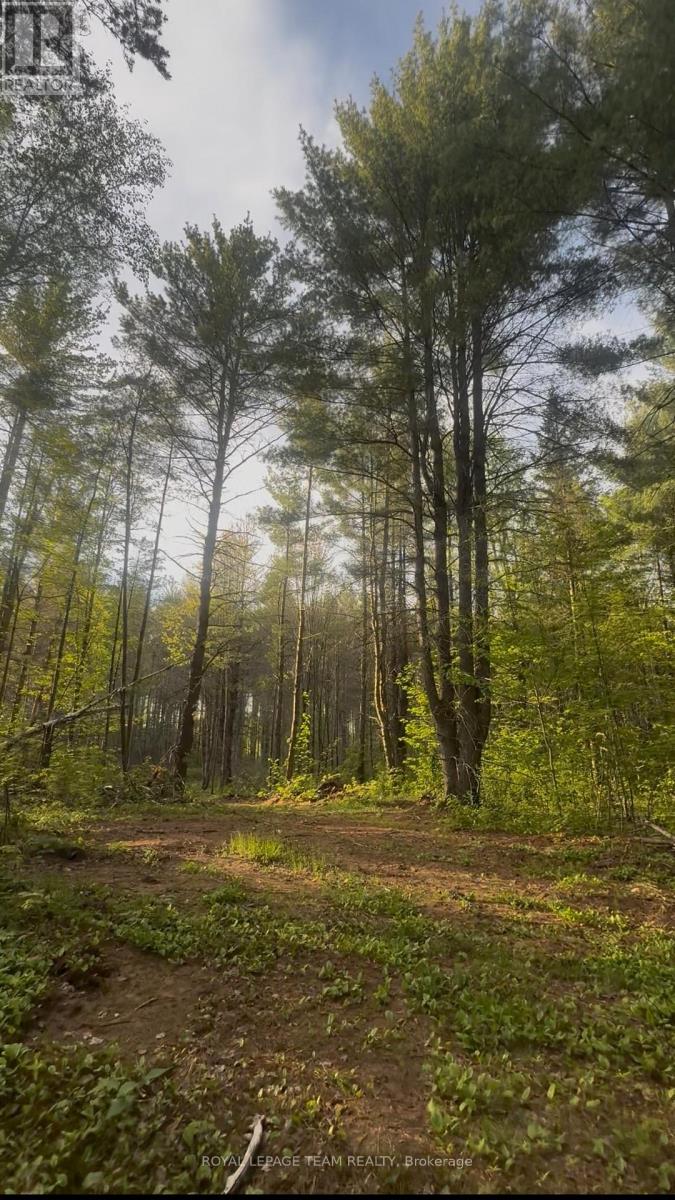 Land for Sale in Petawawa – 000 DORAN ROAD, Petawawa – MLS# X13689252 - Image 18