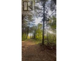 000 Doran Road, Petawawa, ON K8H2W8 Photo 15