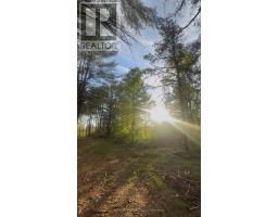 000 Doran Road, Petawawa, ON K8H2W8 Photo 16