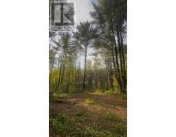000 Doran Road, Petawawa, ON K8H2W8 Photo 17