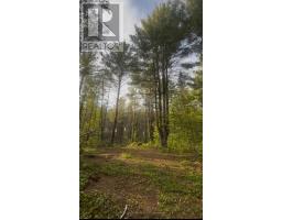 000 Doran Road, Petawawa, ON K8H2W8 Photo 18