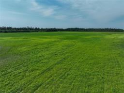 137164 Rd 3e Road E, Bifrost Rm, MB R0C0A0 Photo 10