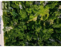 Lot 9 Fruchey Street, Kagawong, ON P0P1J0 Photo 11