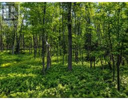 Lot 9 Fruchey Street, Kagawong, ON P0P1J0 Photo 8