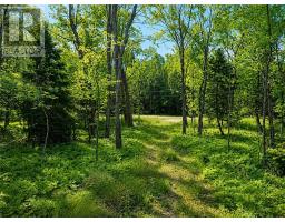 Lot 9 Fruchey Street, Kagawong, ON P0P1J0 Photo 7