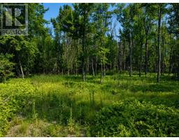 Lot 9 Fruchey Street, Kagawong, ON P0P1J0 Photo 9