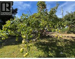 172 Mclean St, Campbell River, BC V9W2M3 Photo 14