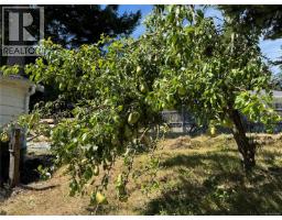 172 Mclean St, Campbell River, BC V9W2M3 Photo 16