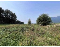 8309 Thompson Road, Mission, BC V0M1G0 Photo 11