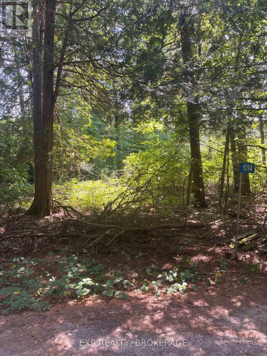 23 - 1014 SUMAC TRAIL