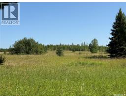 12 Acre Lot At Fur Lake (lsd3), Fur Lakes, SK S0J2G0 Photo 14