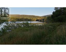 29971 Cabot Trail, South Harbour, NS B0C1G0 Photo 35