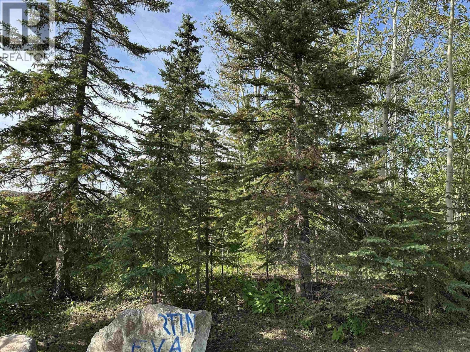 13354 PARK FRONTAGE ROAD, Charlie Lake