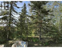 13354 Park Frontage Road, Charlie Lake, BC V1G8G4 Photo 17