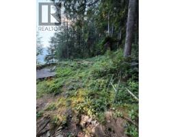 4 South Of Debeck Creek, Pitt Meadows, BC V0V0V0 Photo 23