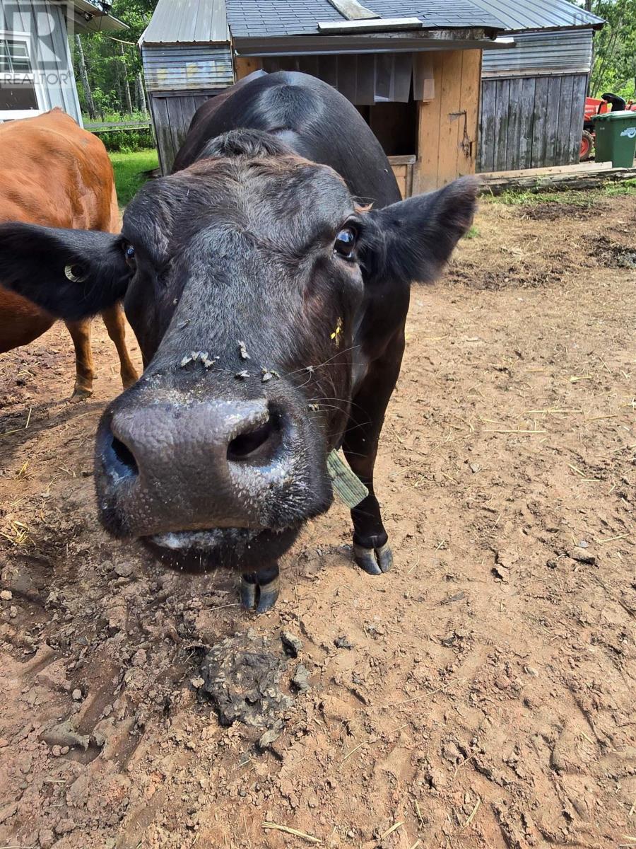 Property 37 of 44 of 1106 Tetzlaff Road