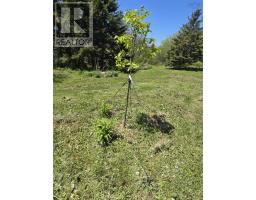 18540 Country Harbour  Hwy 316 Highway, Country Harbour, NS B0H1M0 Photo 31