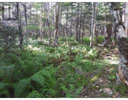 1a Birch Crescent, Cape George Estates, NS B0E3B0 Photo 9