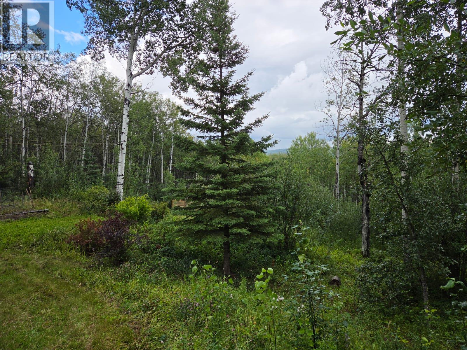 2965, Lot E Nichols Sub, Chetwynd