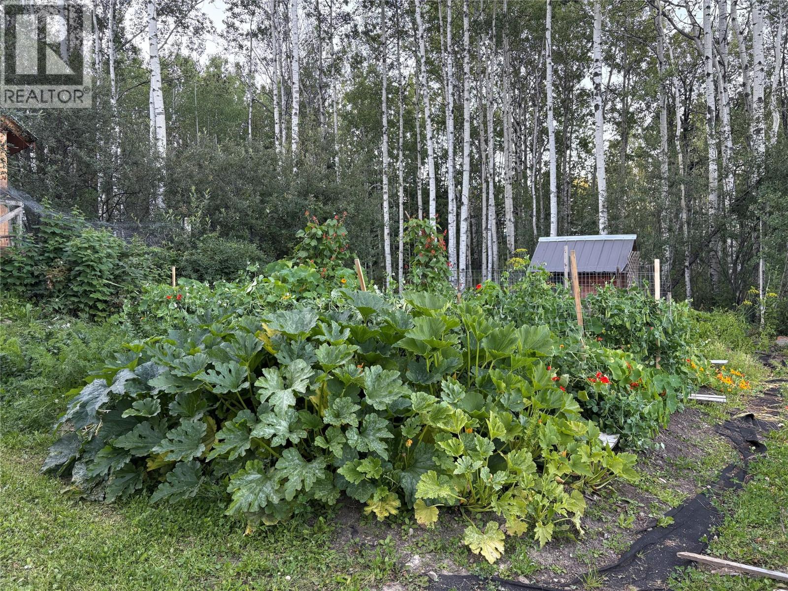 2965, Lot E Nichols Sub, Chetwynd