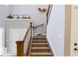 527 Merlin Ld Nw Nw, Edmonton, AB T5S0L9 Photo 21