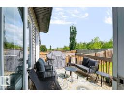 527 Merlin Ld Nw Nw, Edmonton, AB T5S0L9 Photo 43