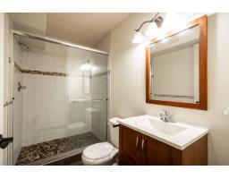 9153 Trattle Street, Langley, BC V1M2R6 Photo 28