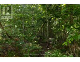 820 Manitoba Street, Bracebridge), ON P1L0K8 Photo 49