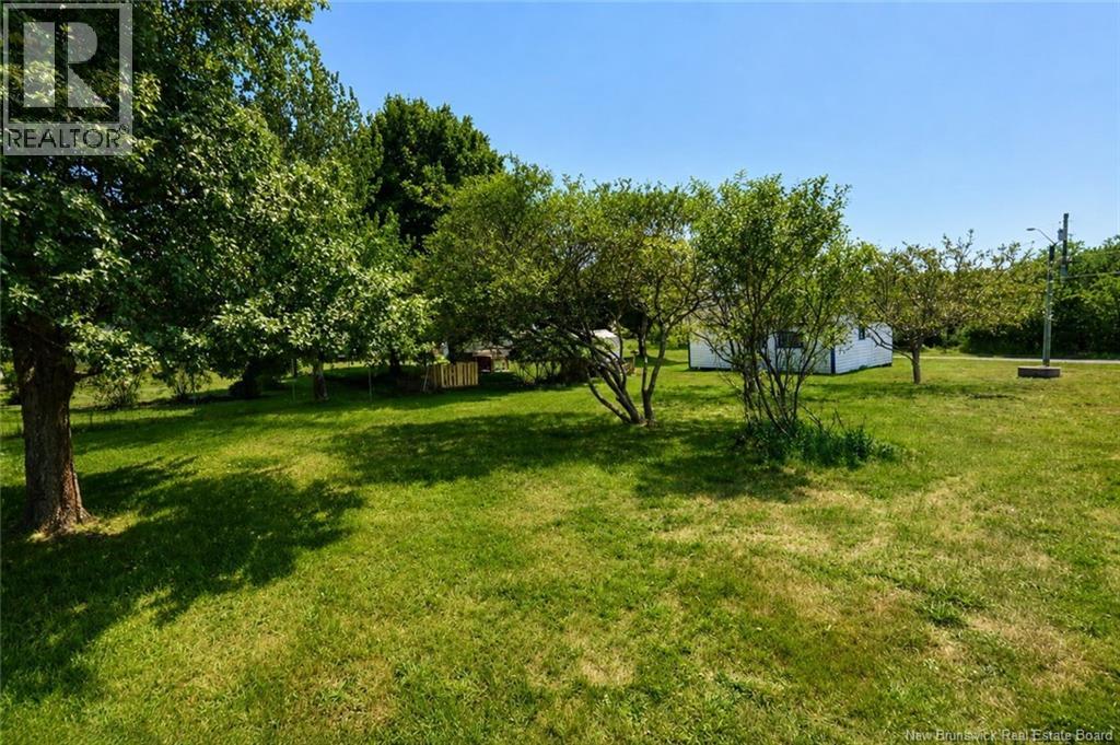 6 Fern Street - 29