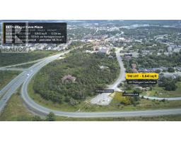367 Portugal Cove Place thumbnail 6