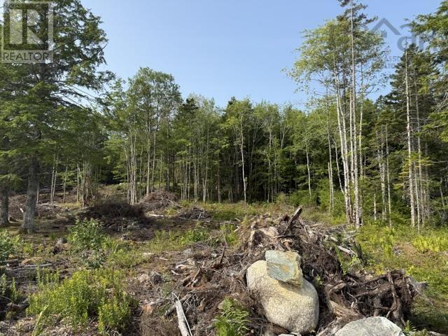 Property 8 of 9 of Lot 12 Island View Drive