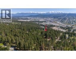 343 Cross Road S, Cranbrook, BC V1C6W6 Photo 6